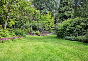 Optimiser l'expérience du jardin à Ruynes-en-Margeride